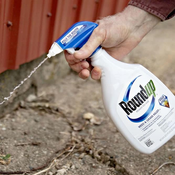 Roundup spray bottle